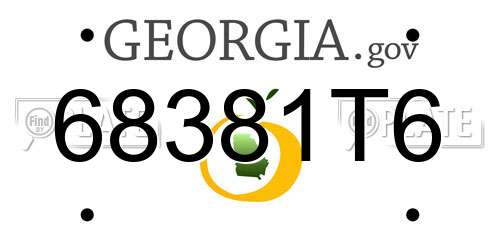 68381T6 Georgia License Plate