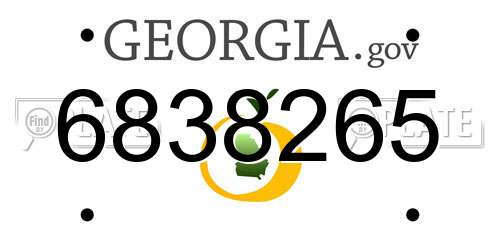6838265 Georgia License Plate