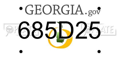 685D25 Georgia License Plate
