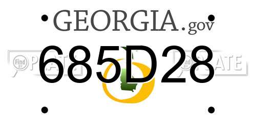 685D28 Georgia License Plate