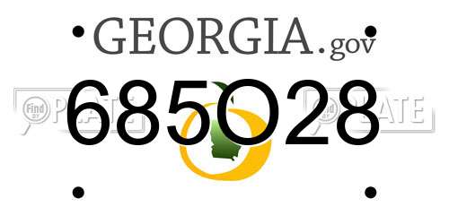 685O28 Georgia License Plate