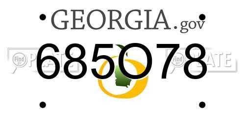 685O78 Georgia License Plate