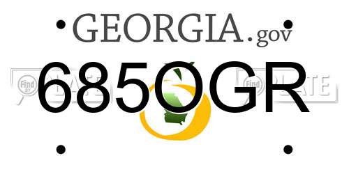 685OGR Georgia License Plate