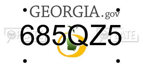 685QZ5 Georgia License Plate