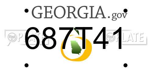 687T41 Georgia License Plate