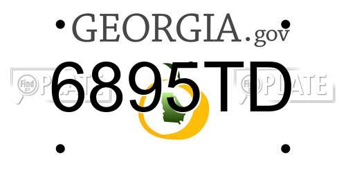 6895TD Georgia License Plate