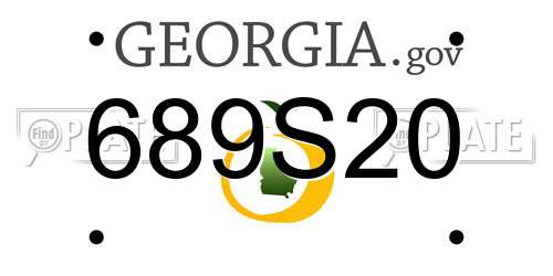 689S20 Georgia License Plate
