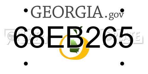 68EB265 Georgia License Plate