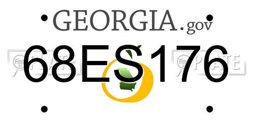 68ES176 Georgia License Plate