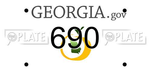 690 Georgia License Plate