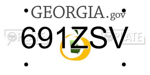 691ZSV Georgia License Plate