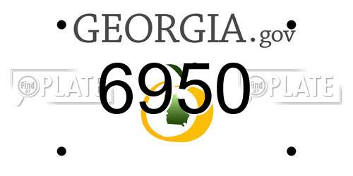 6950 Georgia License Plate