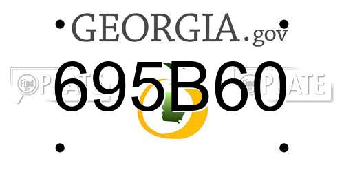 695B60 Georgia License Plate