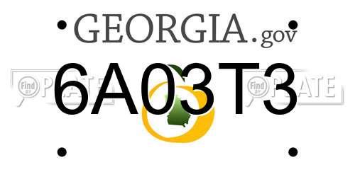 6A03T3 Georgia License Plate