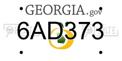 6AD373 Georgia License Plate