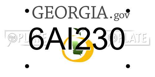 6AI230 Georgia License Plate