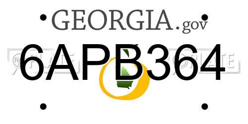 6APB364 Georgia License Plate