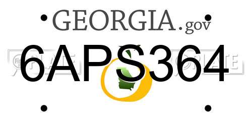 6APS364 Georgia License Plate