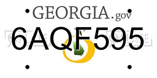 6AQF595 Georgia License Plate