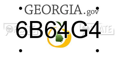 6B64G4 Georgia License Plate