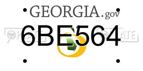 6BE564 Georgia License Plate