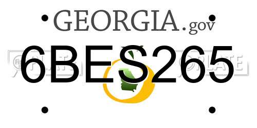 6BES265 Georgia License Plate
