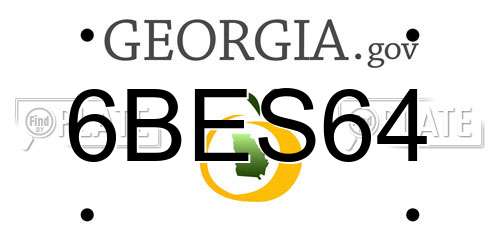 6BES64 Georgia License Plate