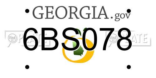 6BS078 Georgia License Plate