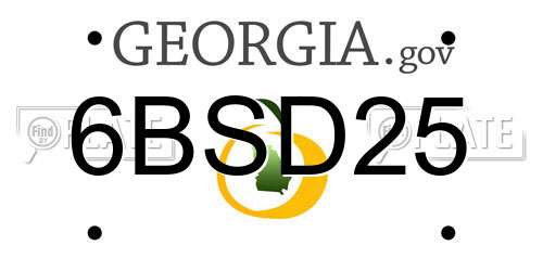 6BSD25 Georgia License Plate