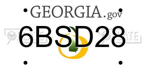 6BSD28 Georgia License Plate