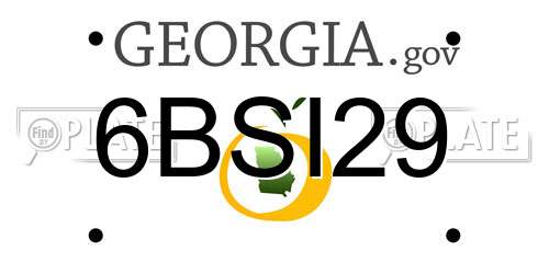 6BSI29 Georgia License Plate