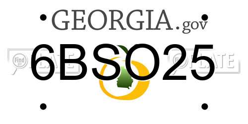 6BSO25 Georgia License Plate
