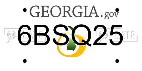 6BSQ25 Georgia License Plate