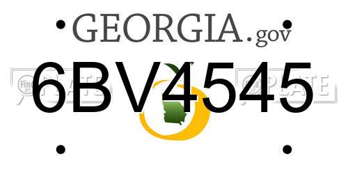 6BV4545 Georgia License Plate