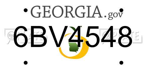 6BV4548 Georgia License Plate