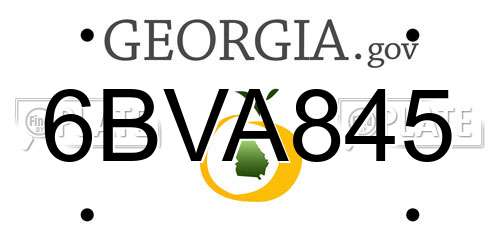 6BVA845 Georgia License Plate
