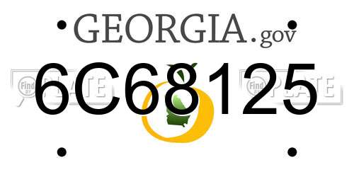 6C68125 Georgia License Plate