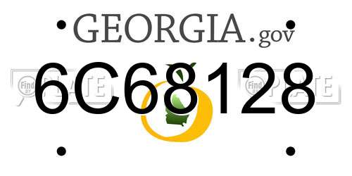 6C68128 Georgia License Plate