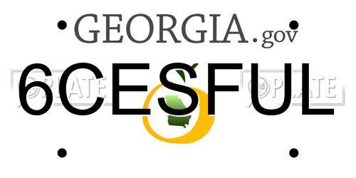 6CESFUL Georgia License Plate