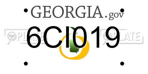 6CI019 Georgia License Plate
