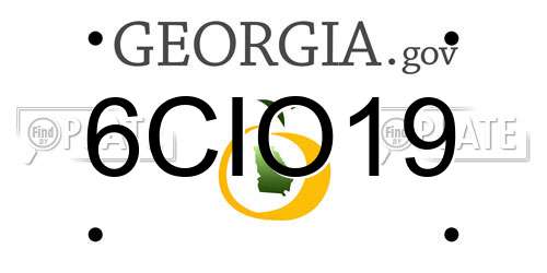 6CIO19 Georgia License Plate