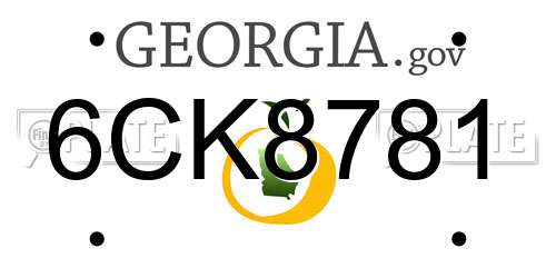 6CK8781 Georgia License Plate