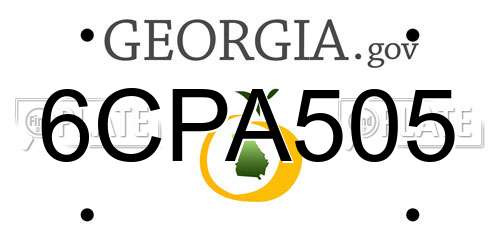 6CPA505 Georgia License Plate