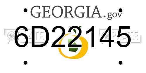6D22145 Georgia License Plate