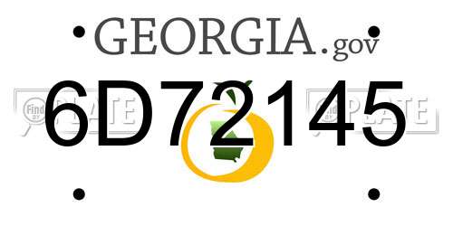 6D72145 Georgia License Plate