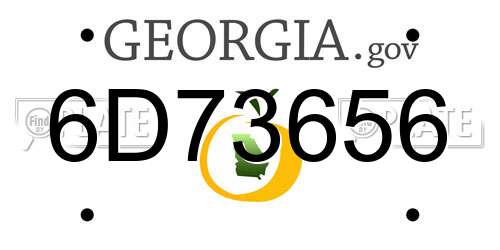 6D73656 Georgia License Plate