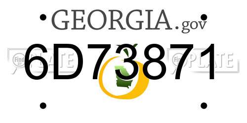 6D73871 Georgia License Plate