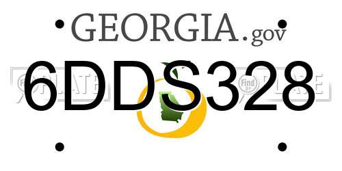 6DDS328 Georgia License Plate