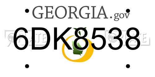 6DK8538 Georgia License Plate