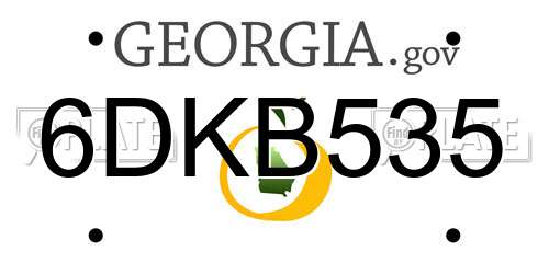 6DKB535 Georgia License Plate